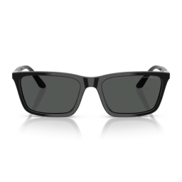Emporio Armani EA4239U 501787 55