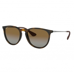 Ray Ban  ERIKA RB4171 710/T5 54