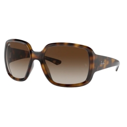 Ray Ban  POWDERHORN RB4347 710/13 60