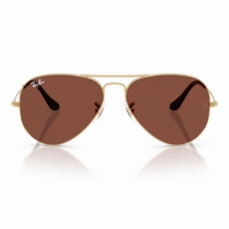 Ray Ban Aviator large metal RB3025 001/C5 58