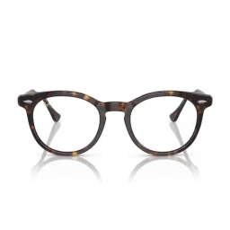 Ray Ban Eagleeye RX5598 2012 51