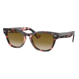 RAY BAN LARAMIE RB2201 133451 54