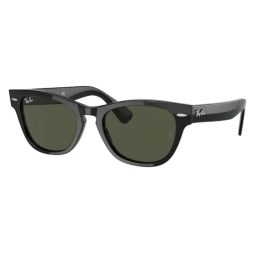 RAY BAN LARAMIE RB2201 901/31 54