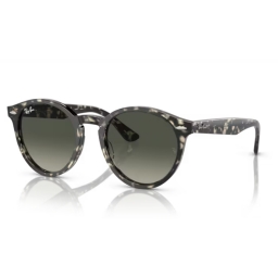 Ray Ban LARRY RB7680S 133371 49