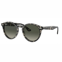 Ray Ban LARRY RB7680S 133371 51
