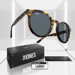 Ray Ban LARRY X THE ONES RB7680S 1332GL 49