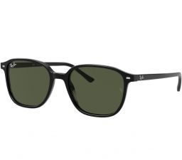 Ray Ban LEONARD RB2193 901/31 53