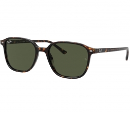 Ray Ban LEONARD RB2193 902/31 53