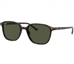 Ray Ban LEONARD RB2193 902/31 53