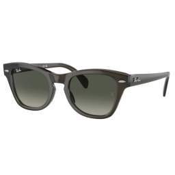 Ray Ban RB0707S 664271 50