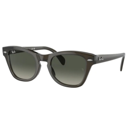 Ray Ban RB0707S 664271 53