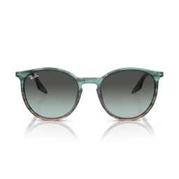 Ray Ban RB2204 1394GK 54