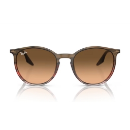 Ray Ban RB2204 13953B 51