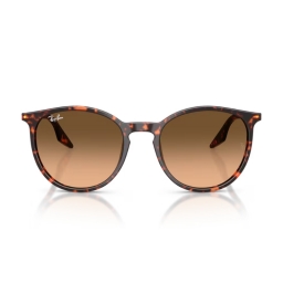 Ray Ban RB2204 14293B 54