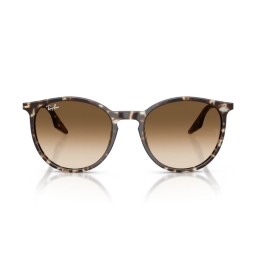 Ray Ban RB2204 143151 54