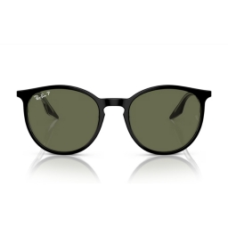 Ray Ban RB2204 919/58 54