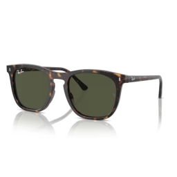 Ray Ban RB2210 902/31 53