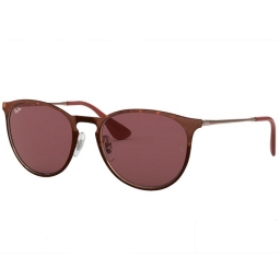 Ray Ban ERIKA METAL RB3539 913375 54