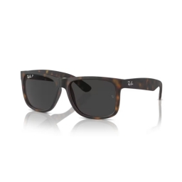 Ray Ban RB4165 865/87 55