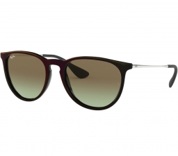 Ray Ban ERIKA RB4171 6316E8 54