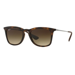 Ray Ban RB4221 865/13 50 