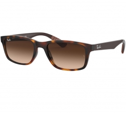 Ray Ban RB4234 620513 58