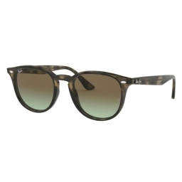 Ray Ban RB4259 731/E8 51