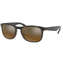 Ray Ban RB4263 894/A3 55