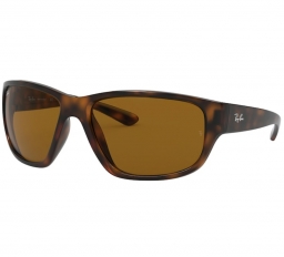 Ray Ban RB4300 710/33 63