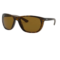 Ray Ban RB4307 710/83 61