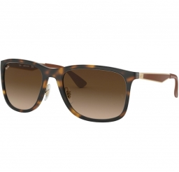 RAY BAN RB4313 894/13 58