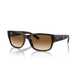 Ray Ban RB4388 710/51 55