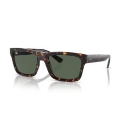 Ray Ban RB4396 135971 54