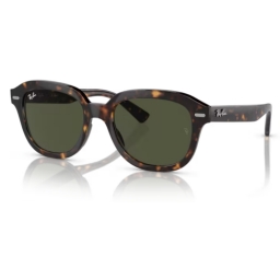 Ray Ban ERIK RB4398 902/31 51