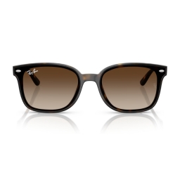 Ray Ban RB4461D 710/13 64