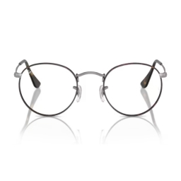 Ray Ban RX3447V 3174 47