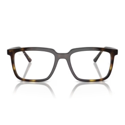 Ray Ban RX7239 2012 54