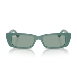 Ray Ban Teru RB4425 676282 54