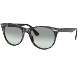 Ray Ban Wayfarer II RB2185 1250AD 55