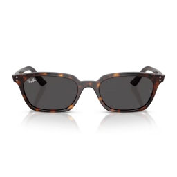 Ray Ban Zaya RB4456 135987 53